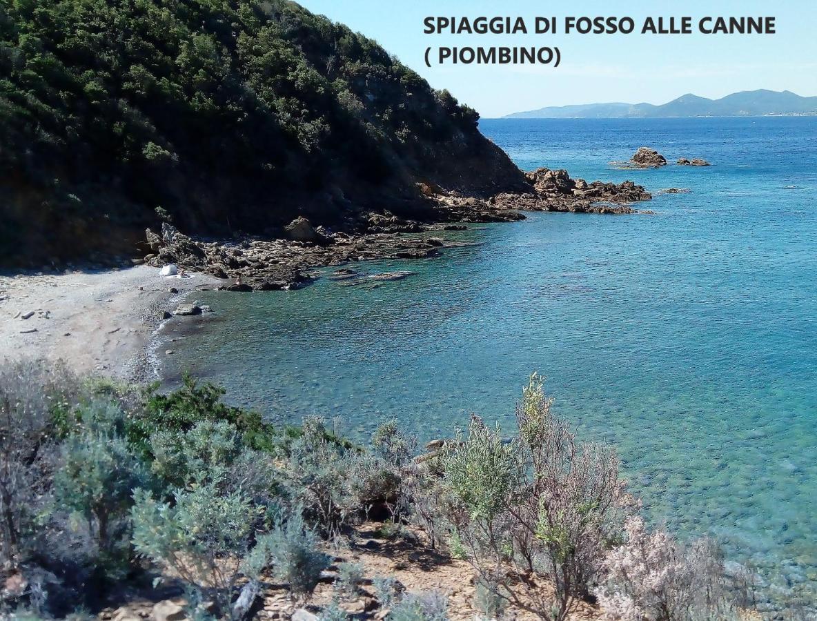 Spazio-Confort-Fitness Piombino Zewnętrze zdjęcie